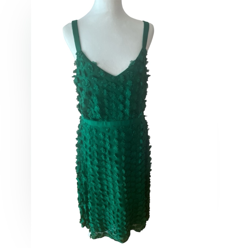 Eva Franco Appliqué Flowered Dress Size 10